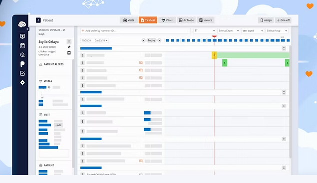 Why Ease of Use Matters More Than You Think in Veterinary Software