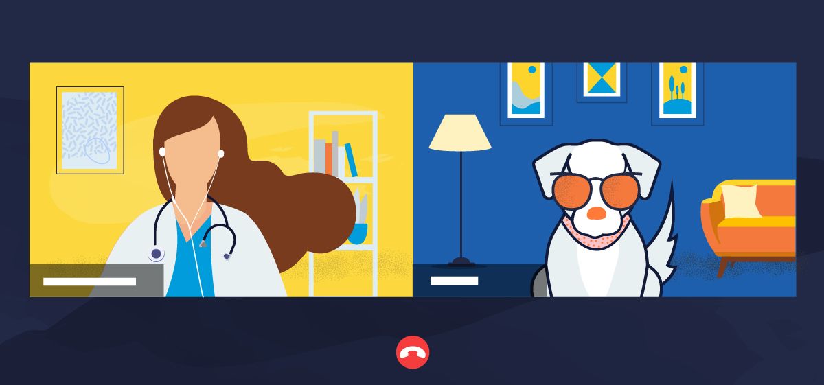 Veterinary Hospital Video Call Pro-Tips