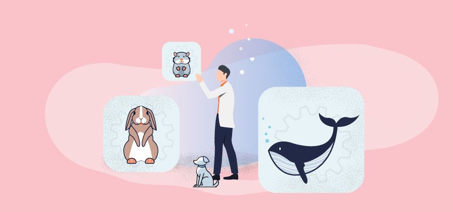 How to Actually Compare Veterinary Software