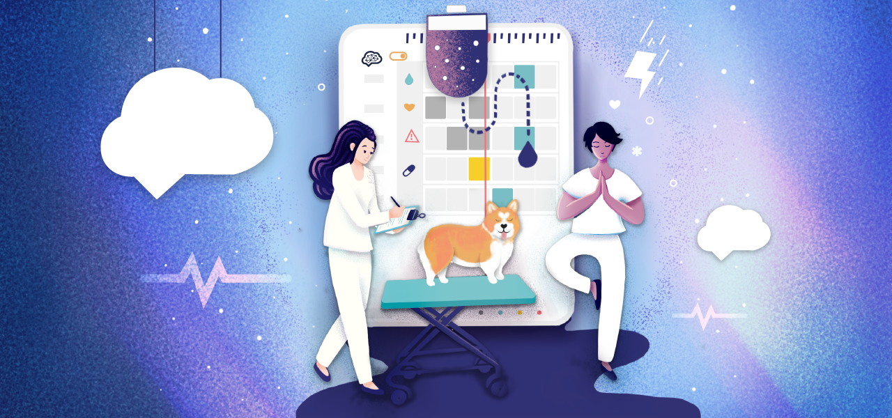 Virtual Tour of the High-Performing Veterinary Emergency Hospital