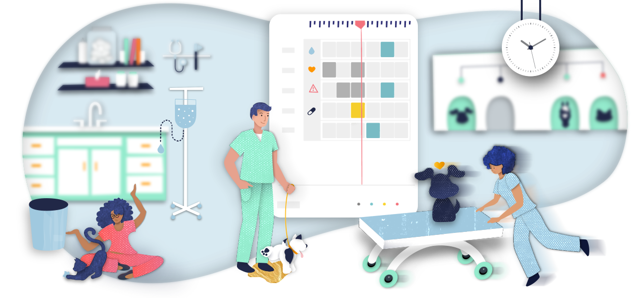 The Perfect Storm: The Bizarre Busyness of Veterinary Hospitals