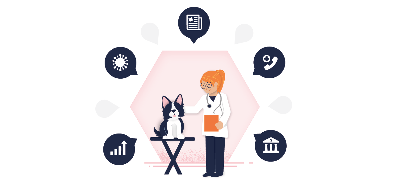 5 Helpful Blogs and Newsletters Every Veterinarian Should Know
