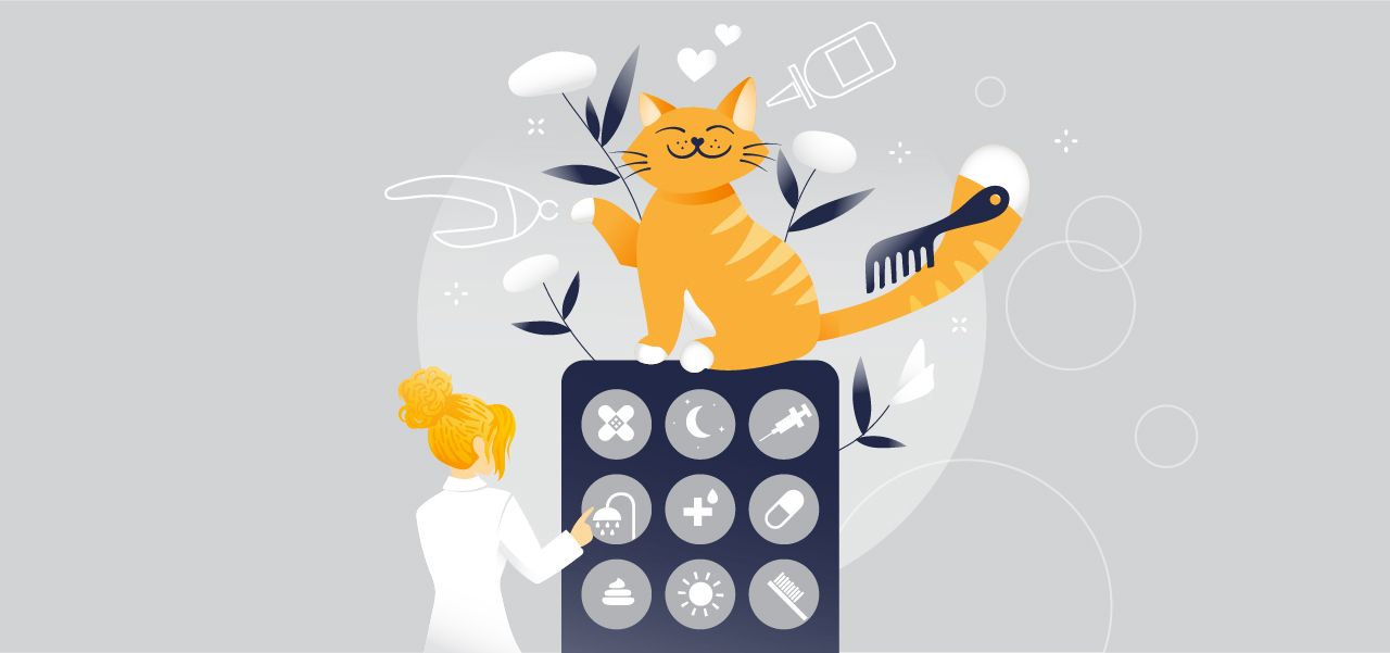 5 Instinct Workflows for Supercharging Efficiency in Veterinary General Practice