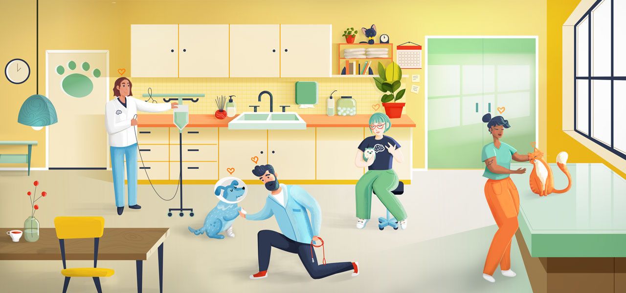Meet the Veterinary Team Experience Movement (Part 1 of 3)