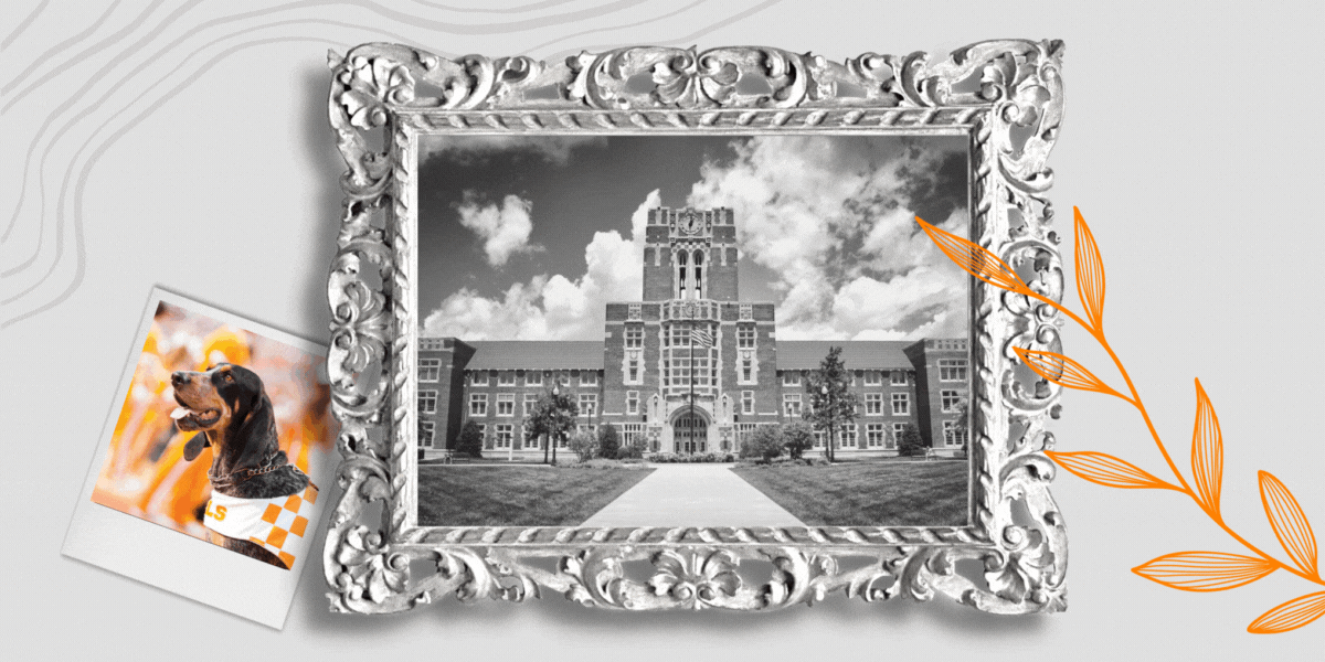 Customer Spotlight: How the University of Tennessee College of Veterinary Medicine Transitioned to Instinct