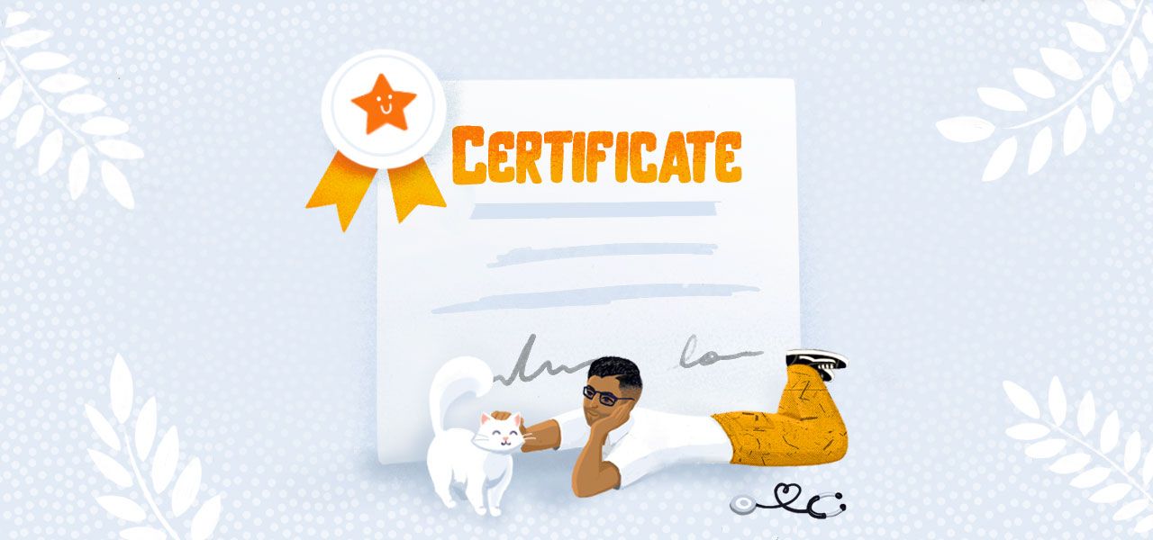 4 Certifications to Advance Your Veterinary Career