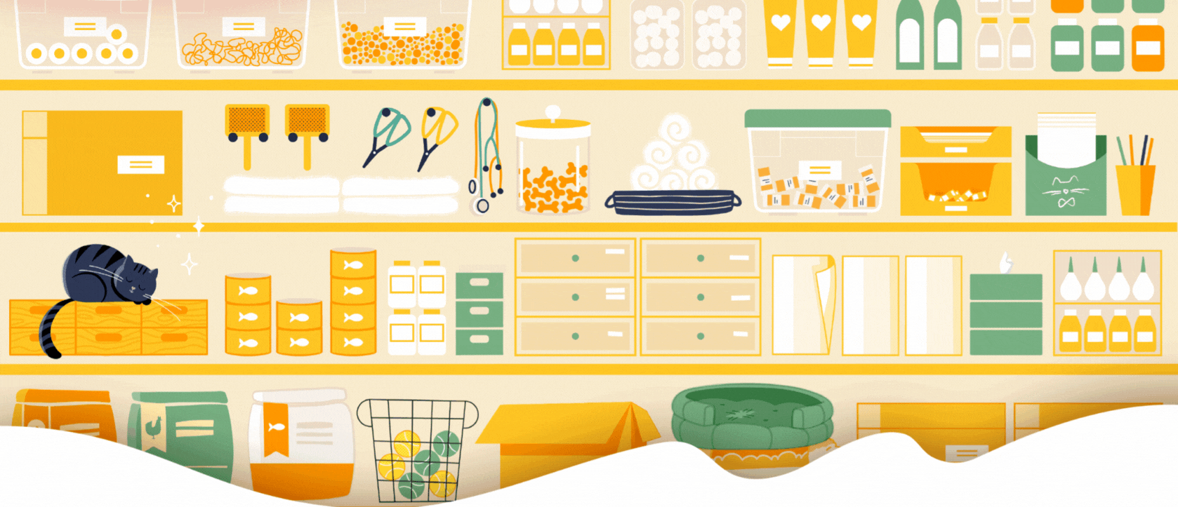Why Growing Veterinary Hospitals Are Rethinking Inventory Management
